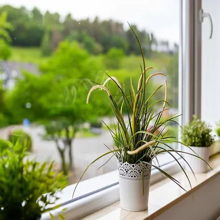 Bergfreiheit Ferienhaus