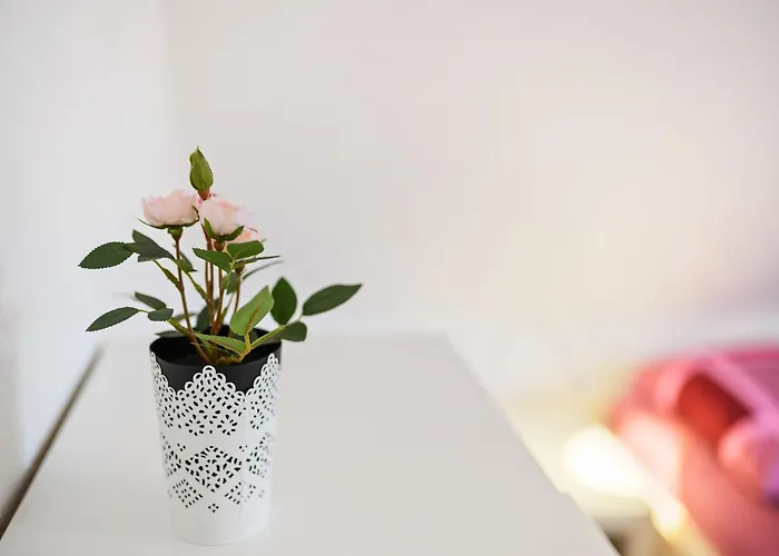 Bergfreiheit وينتربرغ